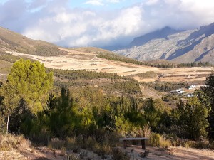 Hofuitspraak stuit vir eers Botmaskop-ontwikkeling