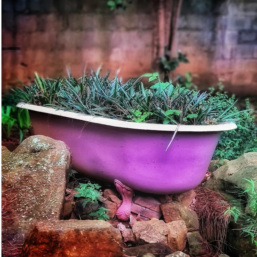 Now is the time to plant a herb garden