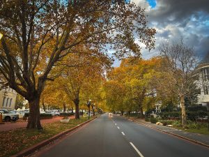 Reën hou almal binne