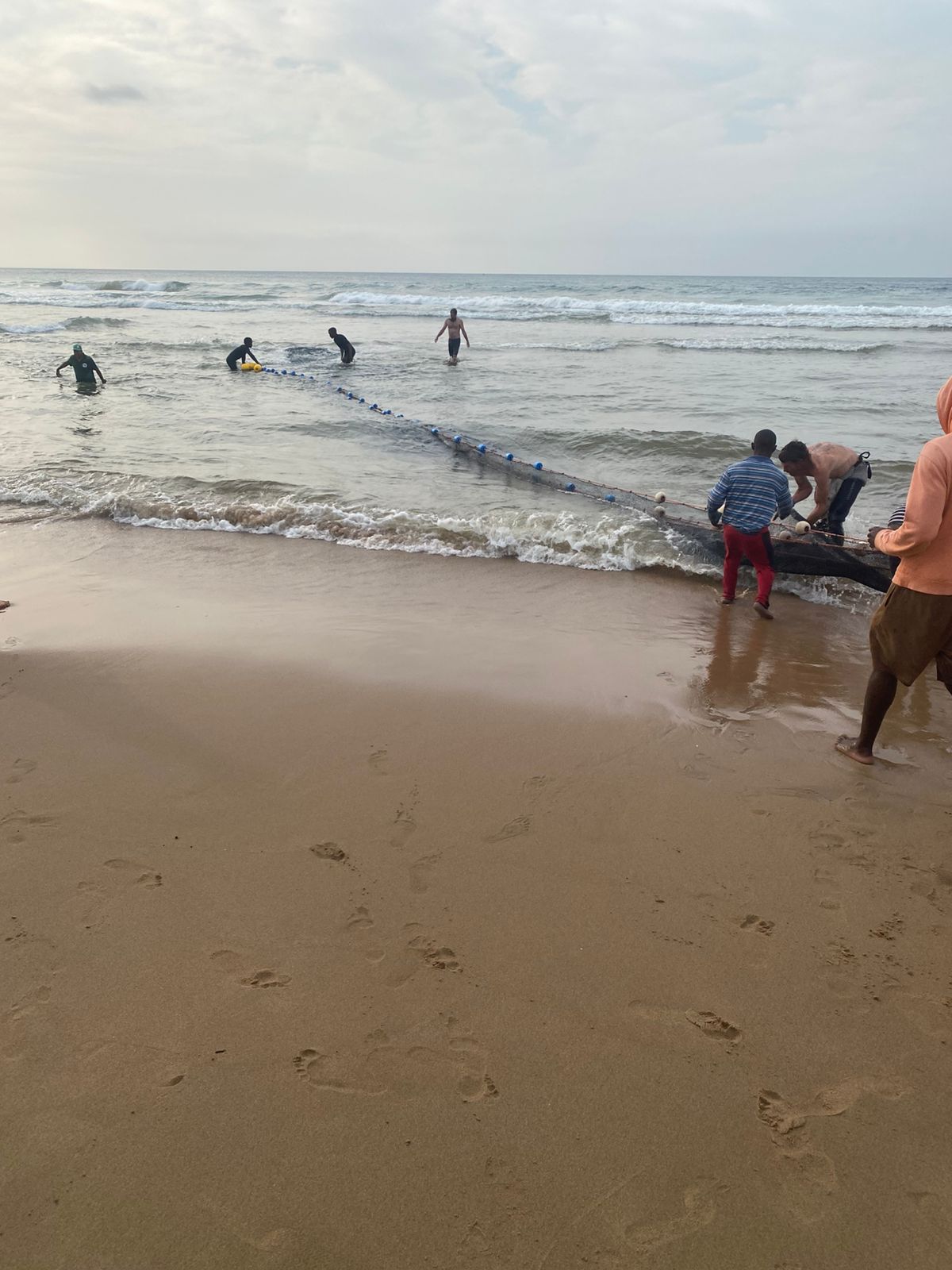 Sardine Run 2025: The greatest shoal on earth arrives in KZN South Coast