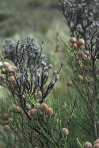 Learners called to be part of the change