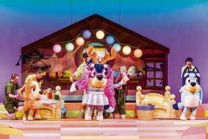 ‘Bluey’ and family to hit Cape stage