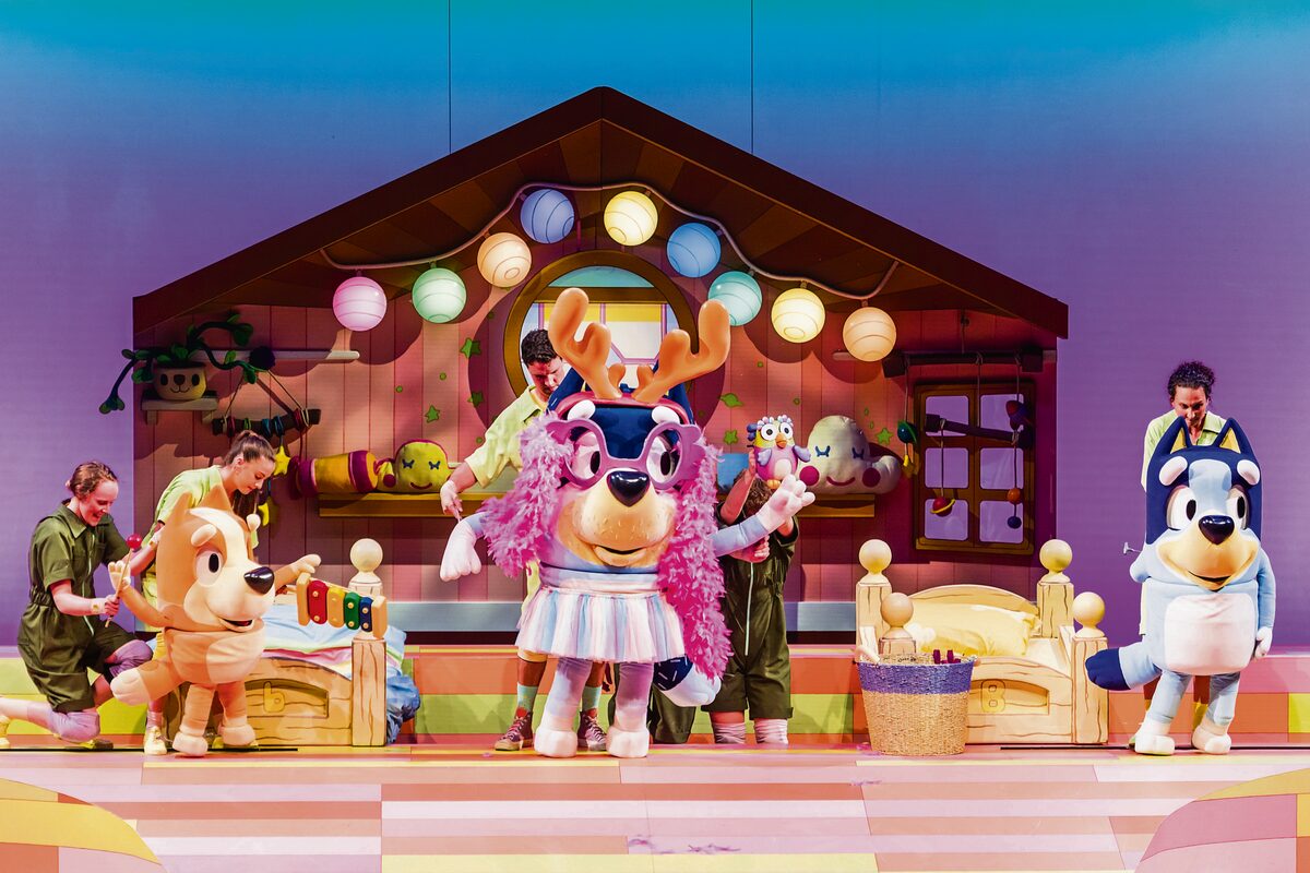 ‘Bluey’ and family to hit Cape stage