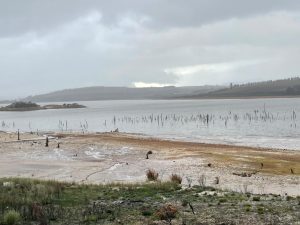 Western Cape dam levels improve to 82% but still remain lower than 2024