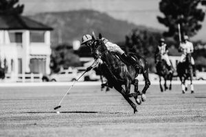 International polo returns