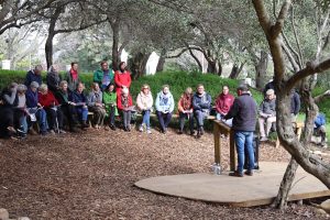 Celebration of historic oak