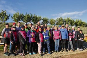 Root44 parkrun temporarily closed