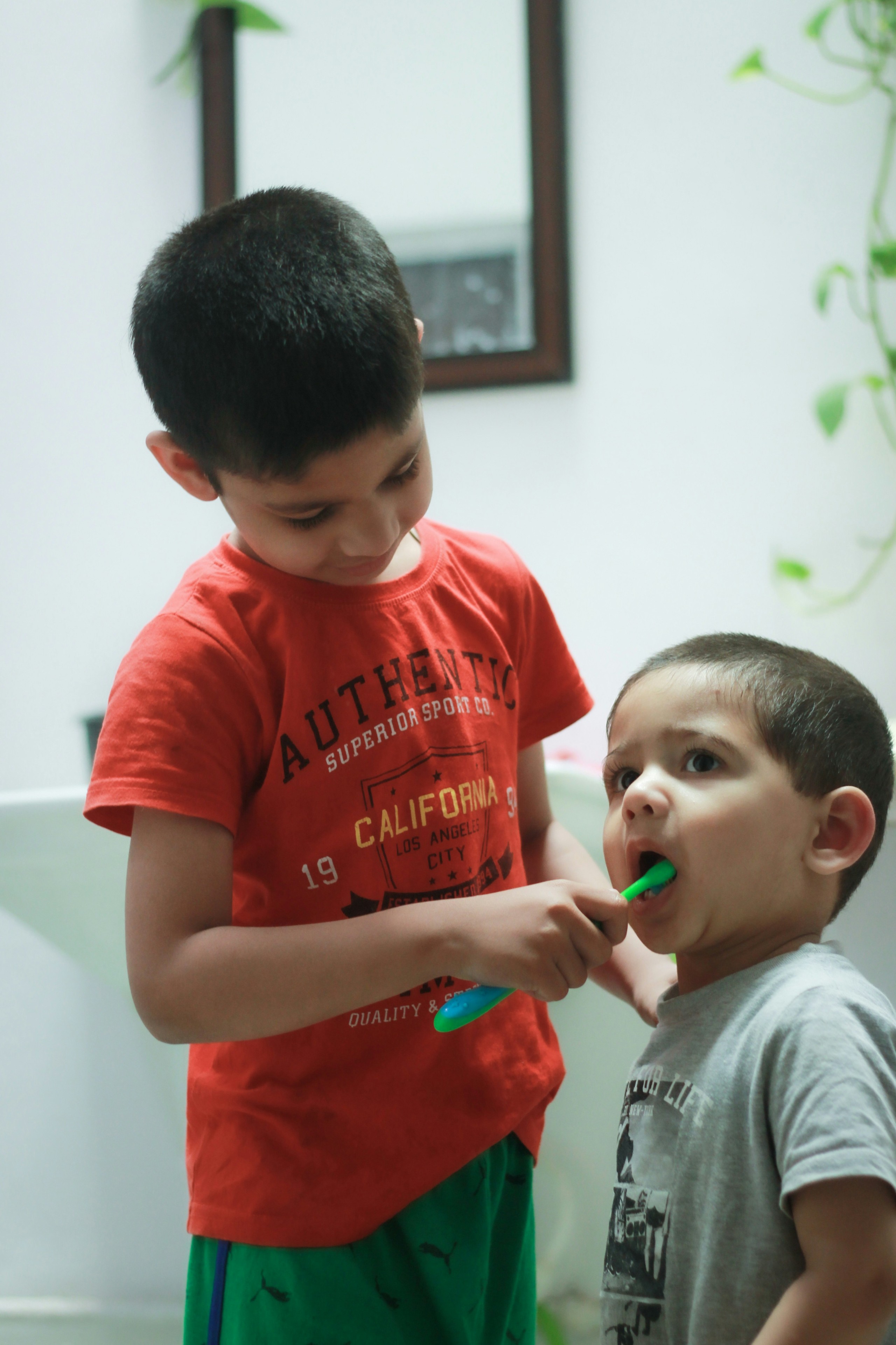 Boy brushing younfer boy's teeth.