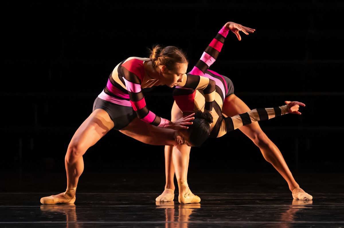 Ballet for all at the Woordfees