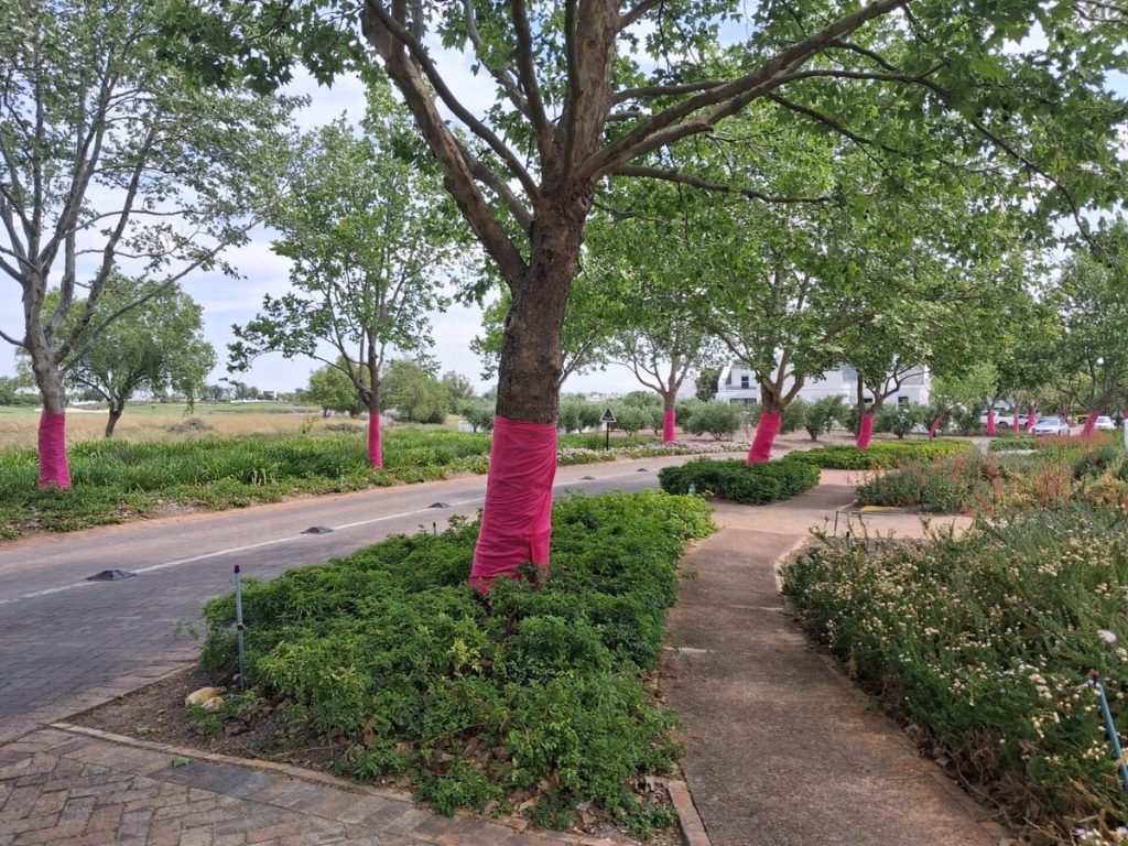 All the trees in the estate are adorned with the bright pink material.