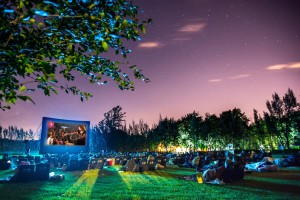 Movie magic in Winelands