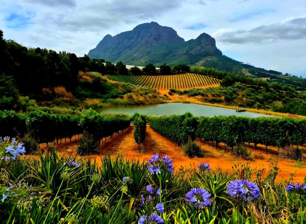 Die amateurfotograaf Cobus Germishuys, ook alombekend as die wynengel van die Kanu-wynlandgoed in Stellenbosch, het die tydens die somervakansie sy vaardighede met sy kamera die praatwerk laat doen en dié prentjiemooi toneel by die Bartinney-wynlandgoed in die Banhoekvallei afgeneem. Eikestadnuus nooi lesers om hul foto's van tonele en gebeure in en om Stellenbosch vir publikasie te stuur. Foto's moet ten minste 500 KG (300 dpi) wees en teen 14:00 Maandag per e-pos na eikestadnuus@novusmedia.co.za gestuur word. Foto: Cobus Germishuys