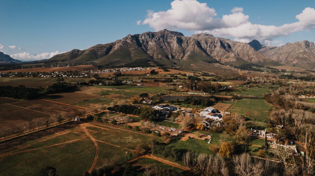  Blaauwklippen Wine Estate, Stellenbosch