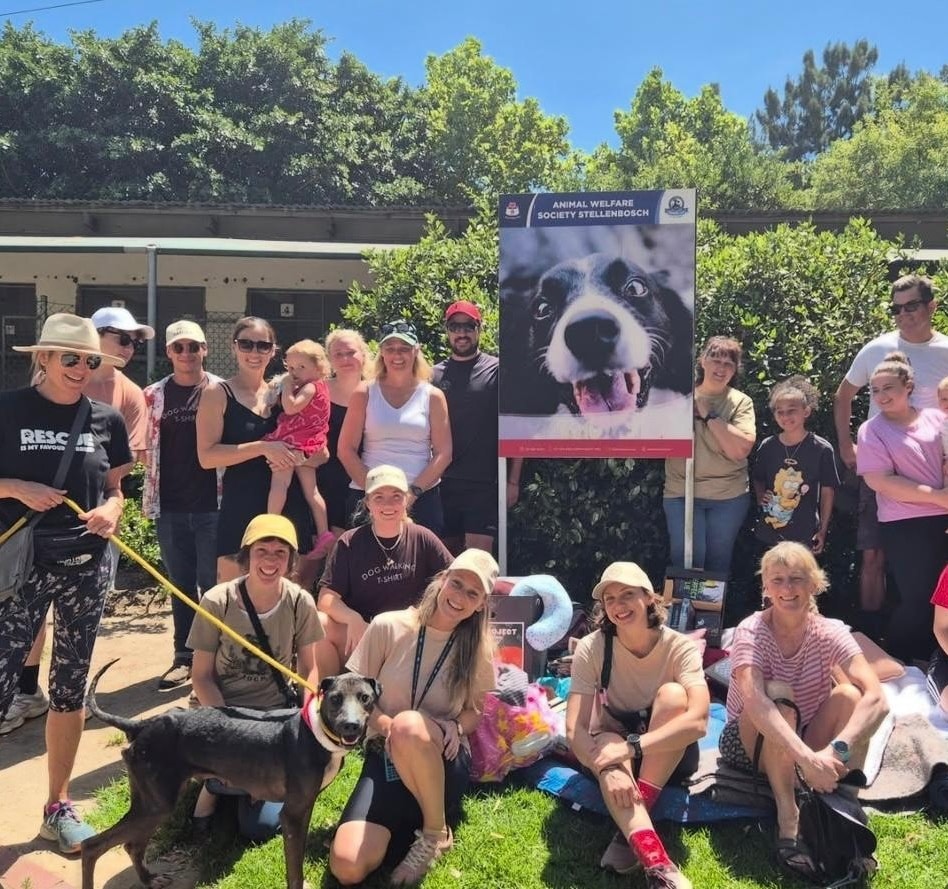 Animal Welfare Society Stellenbosch