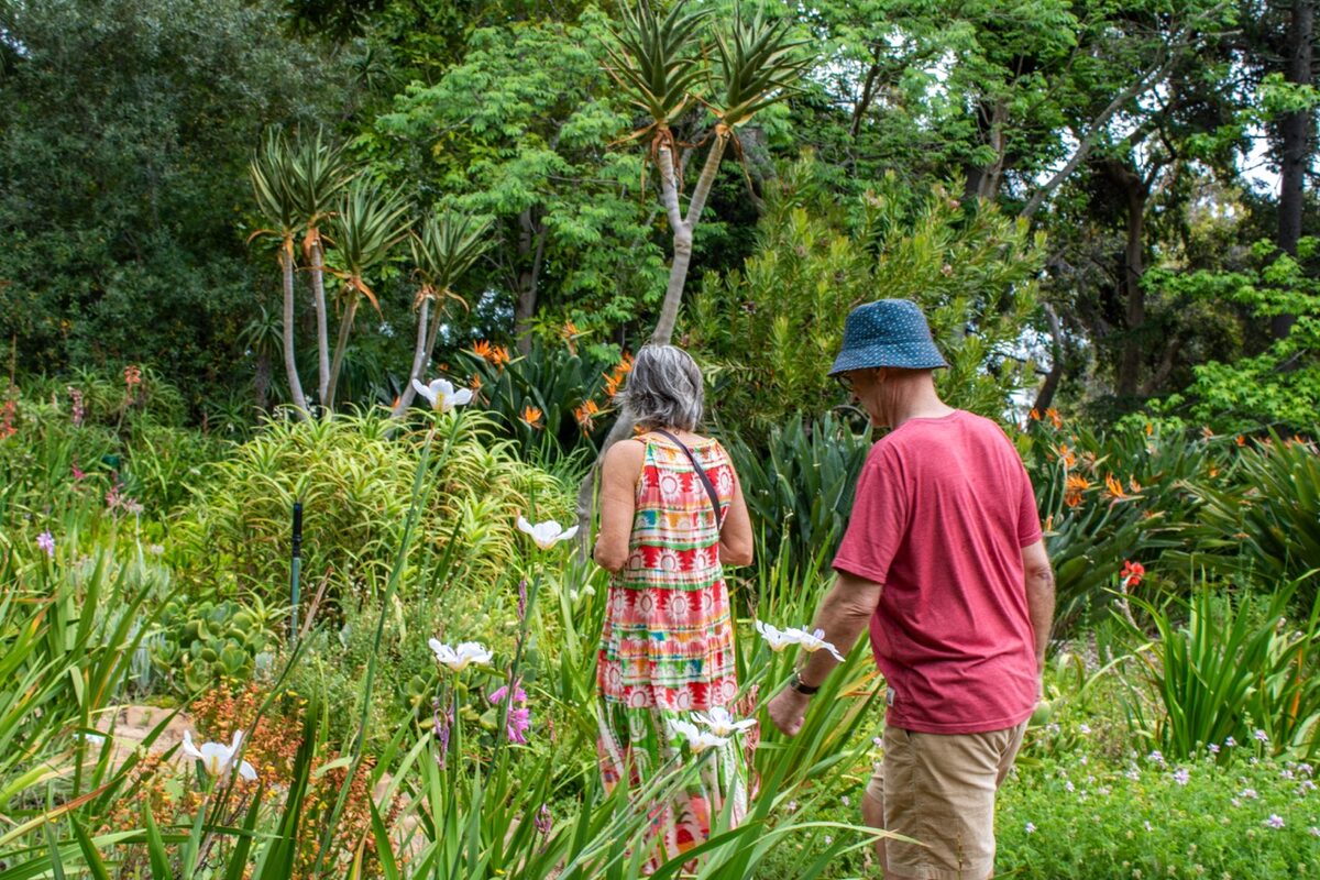 Tokara Plants and Garden Fair