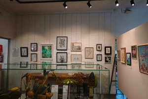 Young botany artists showcased at Stellenbosch University Botanical Garden