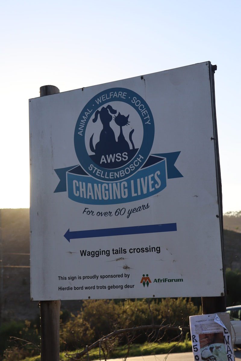 Animal Welfare Society Stellenbosch
