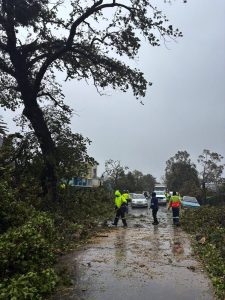 Storm exacts a heavy toll in greater Stellenbosch area