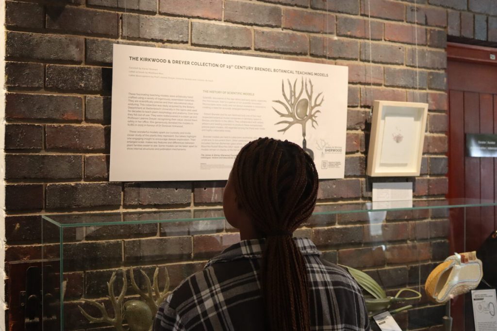 botany art expo at Stellenbosch University Botanical Gardens