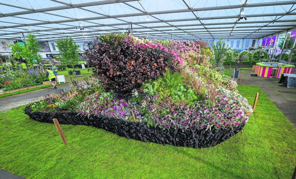 "Life After Fire" showcases the wild flowers that bloom after infernos in the Cape region.