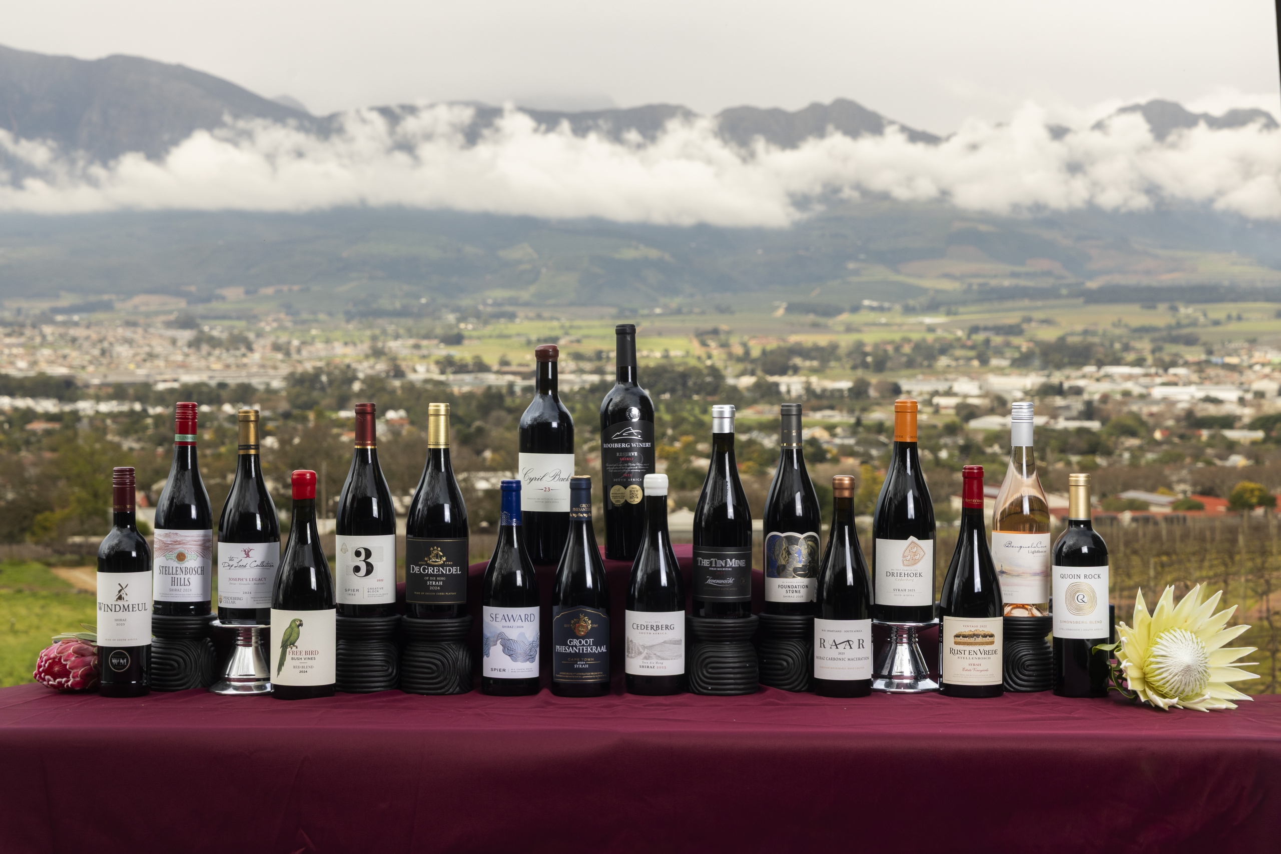 Shiraz SA Awards winning wines 2026