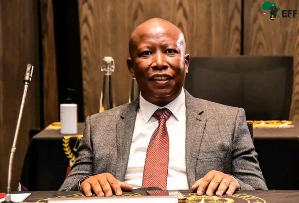 AfriForum files court application against Malema, EFF for contempt of court