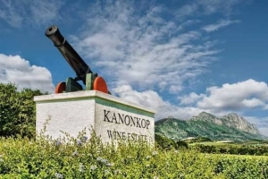 Vintner appointed to head winemaking team at Kanonkop Estate