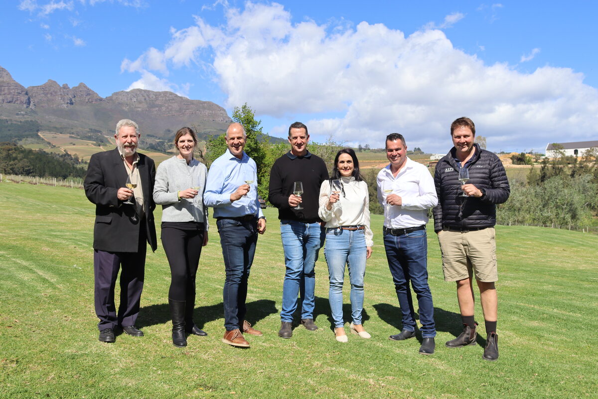 Stellenbosch-jongwynskou