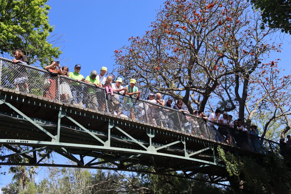 Rotary Club of Stellenbosch