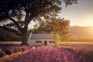 Family table innovation for JAN Franschoek’s new season at La Motte