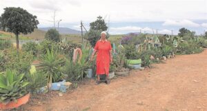 Inwoners kikker nog sypaadjies in Caledon vrolik op