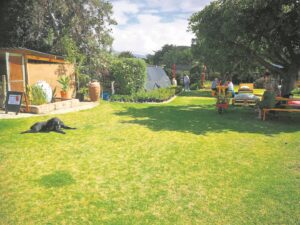 Afdaksrivier Nursery open