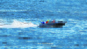 ‘Minimal boat activity in whale season’