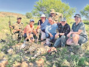 Hermanus locals help to re-collar cheetah at Mountain Zebra National Park