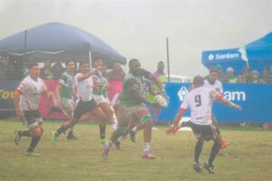 Saffies, HSVN wapper vlag by Boland-Top-12-wedstryde