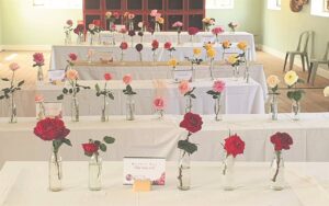 Smell the roses . . .