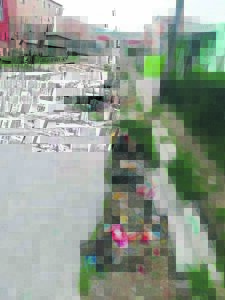 ‘Kyk hoe lyk Rooidakke!’