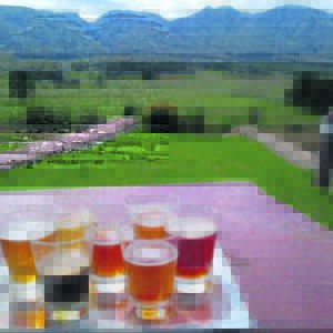 There is just so much to do in beautiful Stanford . . .