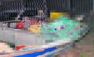 K9 Unit effective against poaching