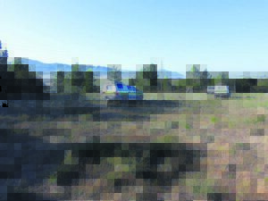 ‘Nie ’n plaasaanval nie’