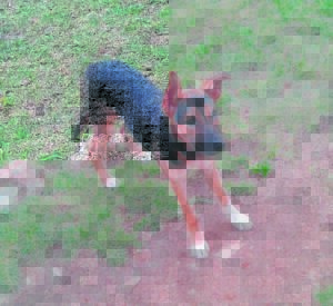 Prinses, Luna soek tuiste