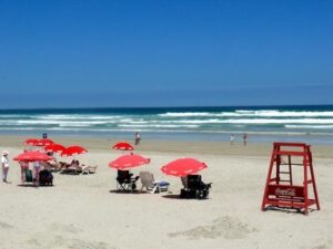 Hermanus skud vere reg vir Desember; mense kan aansoek doen vir stalletjies by strande