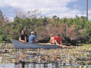 Wat is nou lekkerder as waterblommetjiepotjie met skaapskenkels?