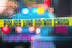 Hikers attacked in Fernkloof reserve