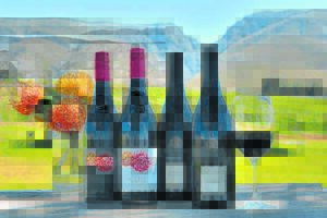 Taste the wines of the Overberg