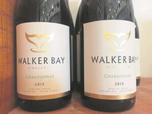 Stanford – more than a little town