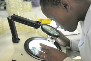 Nog geen cholera in Wes-Kaap