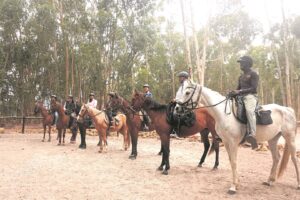 Beacon of hope, holistic healing