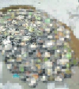 R1,8 million worth of abalone confiscated