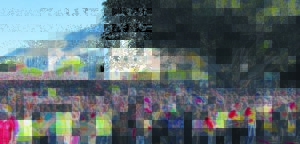 Peaceful march to demand service delivery